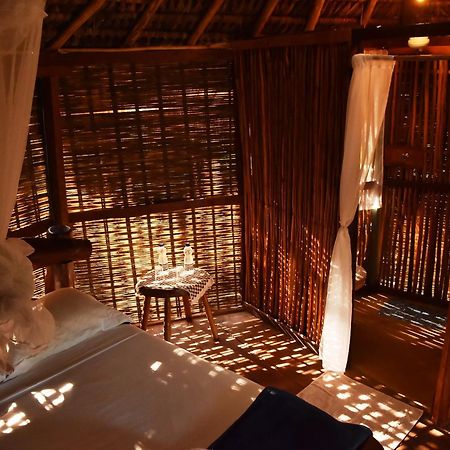 Art Jungle Otel Itacaré Dış mekan fotoğraf