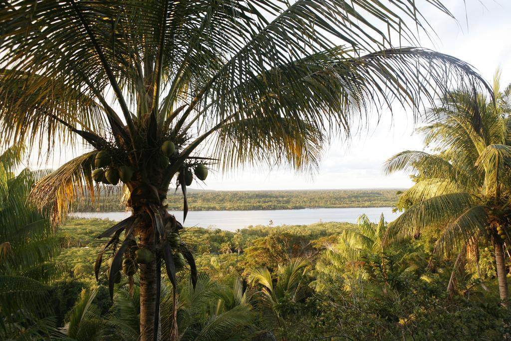 Art Jungle Otel Itacaré Oda fotoğraf