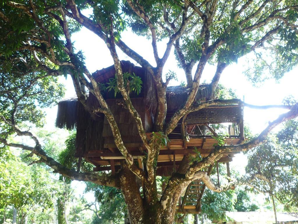 Art Jungle Otel Itacaré Dış mekan fotoğraf