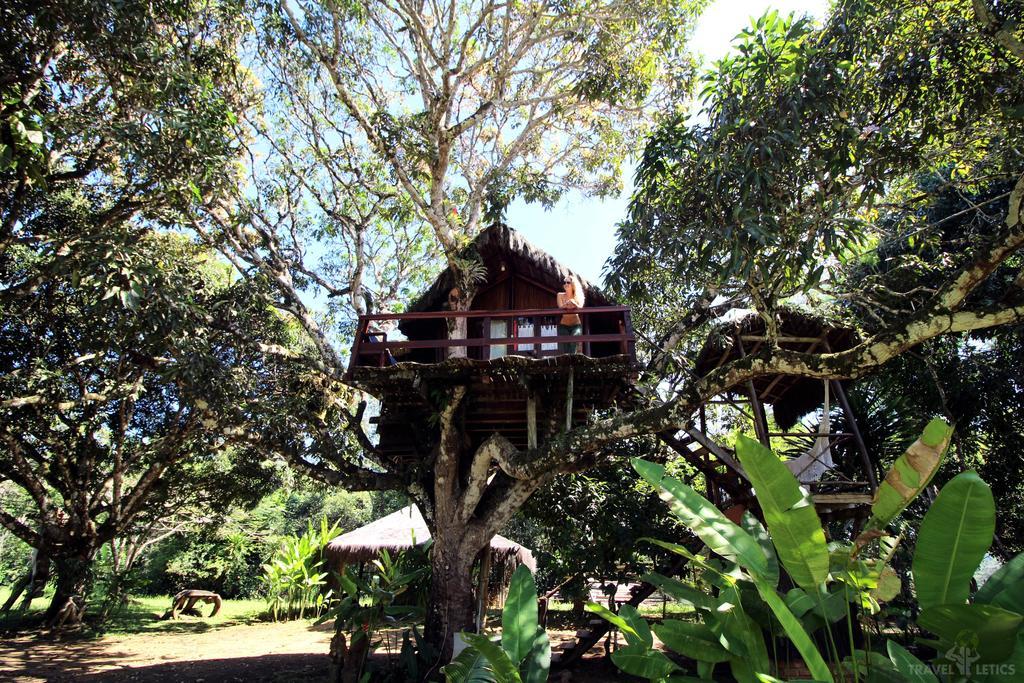 Art Jungle Otel Itacaré Dış mekan fotoğraf