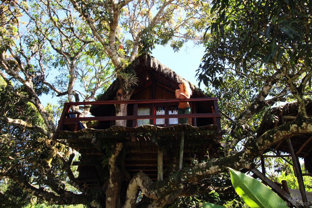 Art Jungle Otel Itacaré Dış mekan fotoğraf