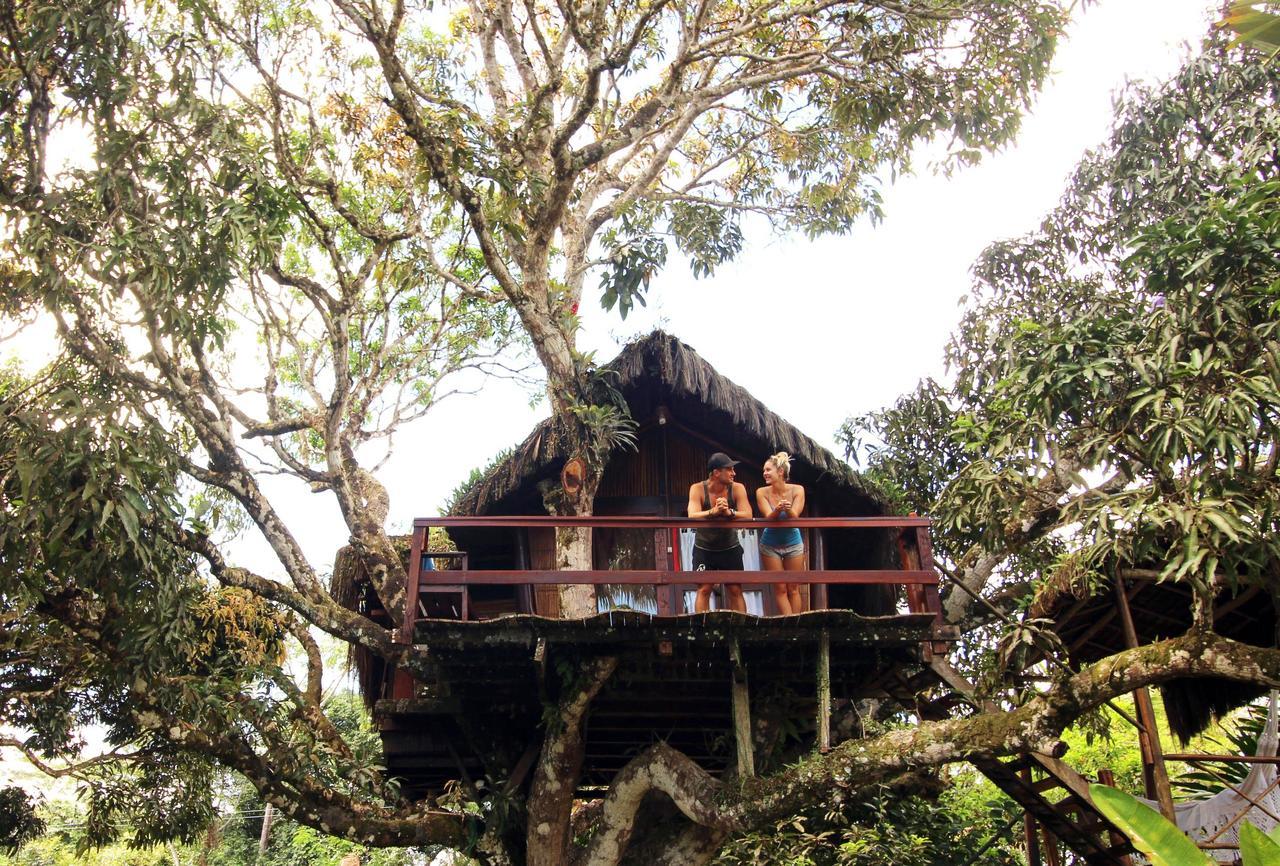 Art Jungle Otel Itacaré Dış mekan fotoğraf