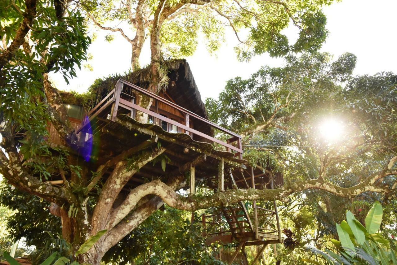Art Jungle Otel Itacaré Dış mekan fotoğraf